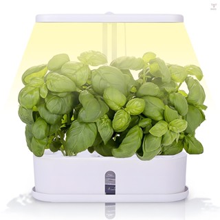 室內花園水培種植系統全光譜 2.5L 水箱 10 豆莢植物發芽套件高度可調節自動定時器蔬菜生長燈檯面帶 LED Gro