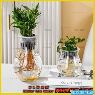 HYH 水耕瓶 水耕花器 水耕盆栽 水培植物瓶 花器 水耕籃 魚菜共生 水耕植物 居家佈置 龜背芋DIY07