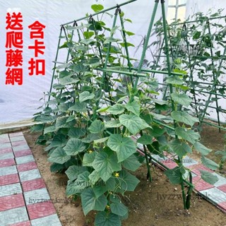 泡泡家🌸附發票 DIY組合爬藤支架 玫瑰 園藝爬藤架 月季 鐵線蓮花架豆角架黃瓜架 種菜架庭院植物攀爬架戶外園藝葡萄架桿