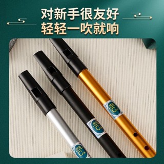 【沐子熱賣】愛爾蘭哨笛吹笛直豎笛子 6孔初學者成人學生專業級樂器