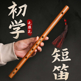 高音直笛 直笛 笛音壺 迷你短笛樂器便攜式無膜孔橫笛學生入門竹笛初學兒童成人小型笛子