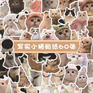 60張可愛寫實小貓塗鴉貼紙 裝飾筆記本書桌電腦行李箱收納盒水杯
