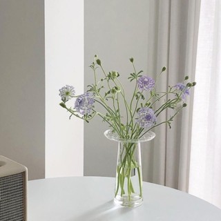 網紅花瓶透明玻璃擺件 客廳插花家居桌麵裝飾咖啡廳擺設
