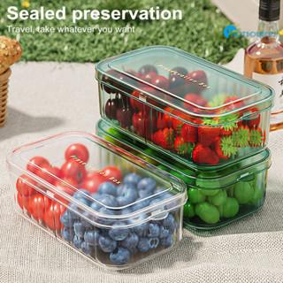廚房密封保鮮盒透明密封蔬菜水果收納盒冰箱