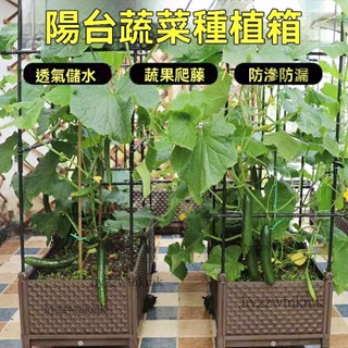 泡泡家⭐附發票 DIY組合爬藤支架 玫瑰 園藝爬藤架 四季豆戶外庭院陽臺蔬菜種植箱室外露臺樓頂天台室內菜園塑膠花卉種植箱
