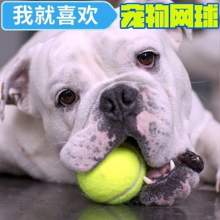 🔥台灣熱銷🔥寵物玩具球 網球彈力球 耐咬磨牙網球 狗狗金毛泰迪拉布拉多貓咪訓練