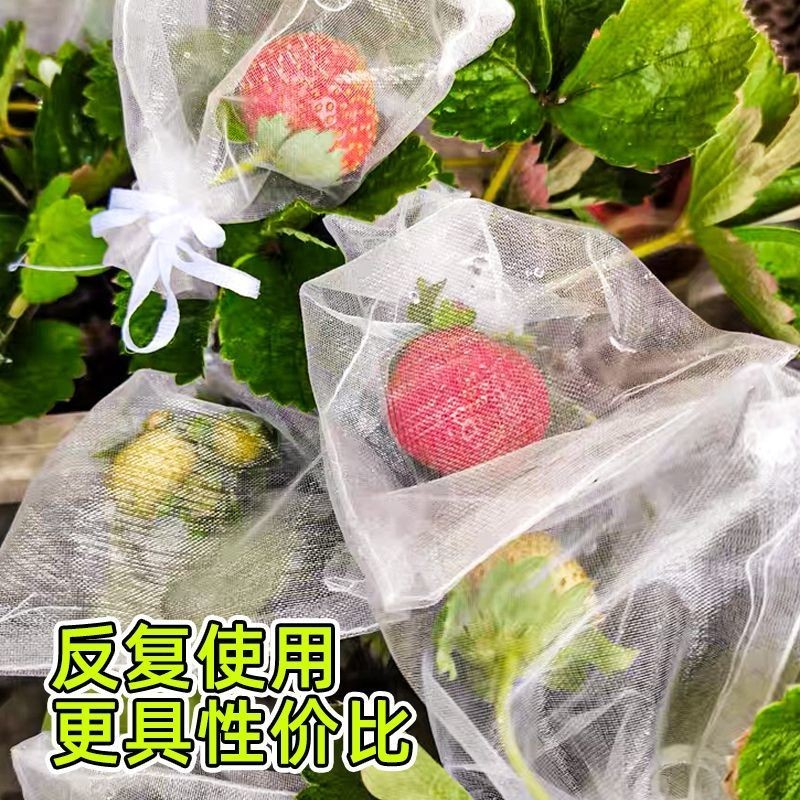 可重複使用 水果套袋 防蟲網 無花果套袋 防鳥 防鳥網 芭樂套袋 水果網袋 水蜜桃套袋 紗網袋 網袋 草莓套袋 套網 套