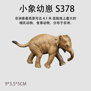 模擬野生動物實心大象公象母象小象寶寶模型玩具擺件