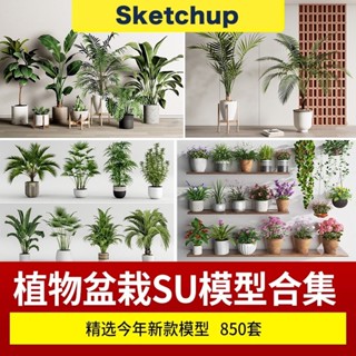 【SU模型 】 草圖大師室內設計植物盆栽綠植花架瓶缽su家裝模型素材庫 SketchUp 設計素材