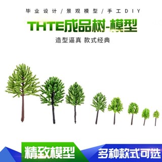學生 畢業設計 沙盤 室外 植物 建築模型製作材料 成品小樹 TE TH