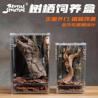 【臺灣出貨】爬蟲老爺樹蛙亞克力款蜘蛛甲蟲蜥蜴飼養寄居蟹睫角守宮樹棲爬寵盒 守宮 爬蟲 爬蟲飼養箱 陸龜 飼養箱