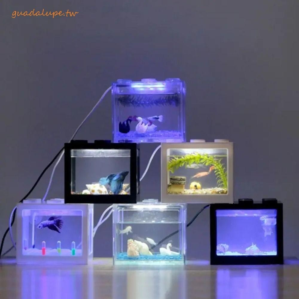GUADALUPE迷你水族館魚缸,防水迷你小型Eco氣缸,帶led燈控制顏色USB微型景觀盒