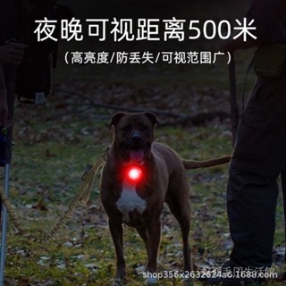 卡扣式 充電寵物 夜間防走失 遛狗燈 LED炫彩多色 狗狗髮光吊墜 現貨 狗狗髮光項圈 貓咪髮光項圈 LDE寵物髮光項