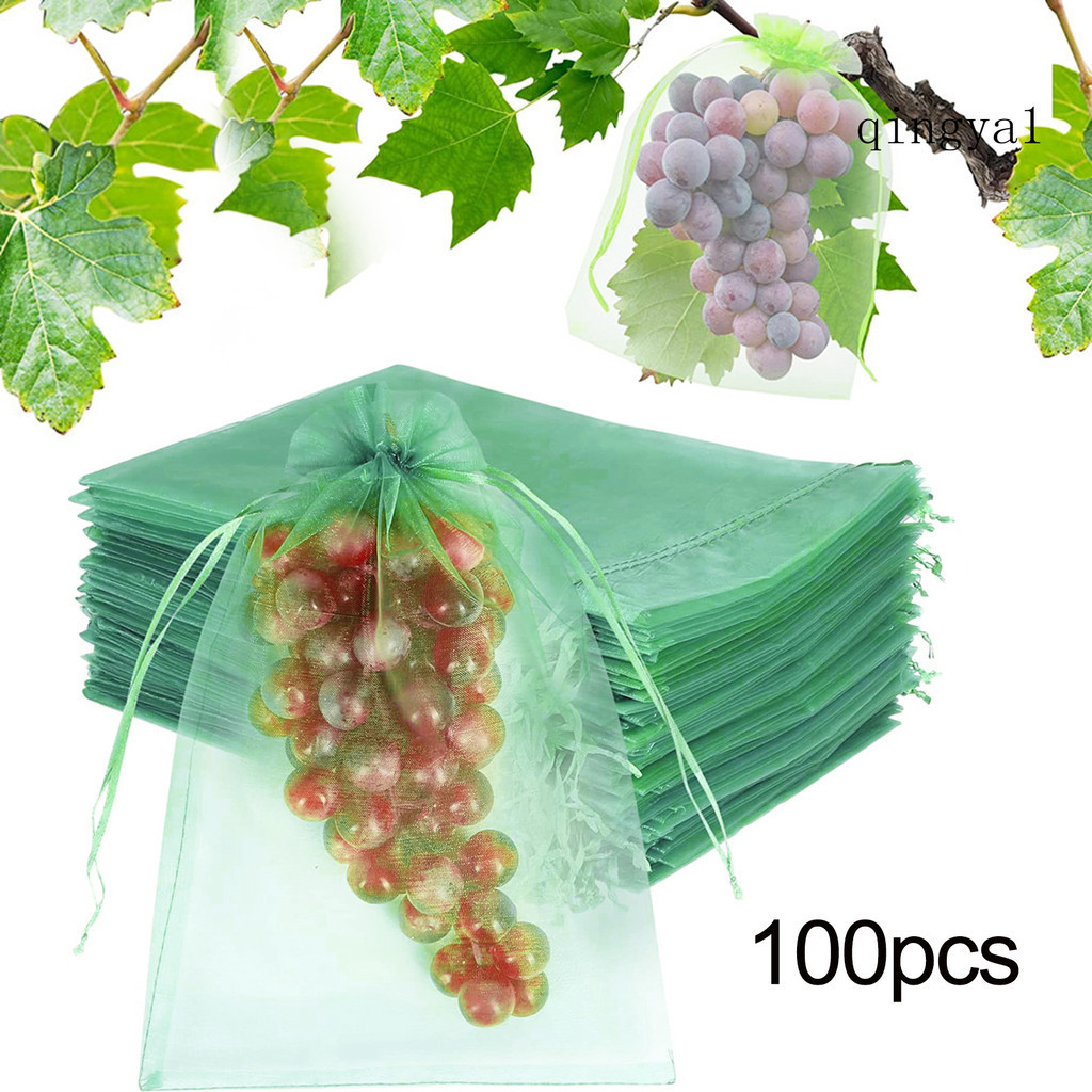 (園藝) 100pcs 水果保護網袋抽繩網罩網狀水果保護袋防鳥水果袋草莓藍莓保護袋