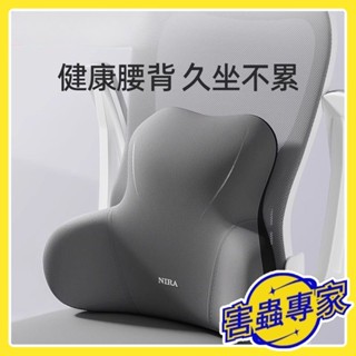臺灣熱銷🔥靠墊 辦公室 腰靠墊 座椅 工位久坐 護腰神器 腰枕 辦公椅 腰墊 椅子靠背墊 辦公室必備品 YJ56