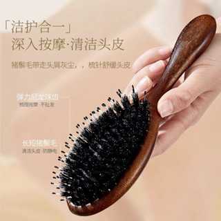 豬鬃毛氣墊梳子頭皮按摩頭部經絡木梳檀木女士專用長發蓬鬆氣囊梳梳子按摩梳造型梳氣墊梳髮梳木梳