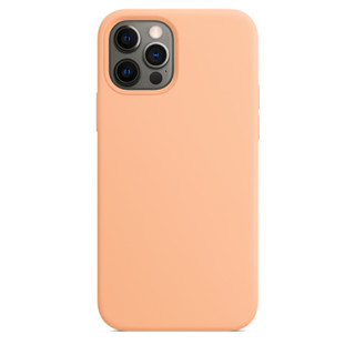 哈密瓜色 - MagSafe 矽膠保護殼 適用於iPhone 12 12Pro 12ProMax