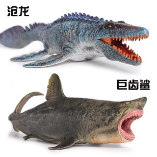 ⭐現貨熱賣⭐滄龍玩具模型巨齒鯊鄧氏魚滑齒龍模擬遠古海洋動物兒童恐龍玩具男