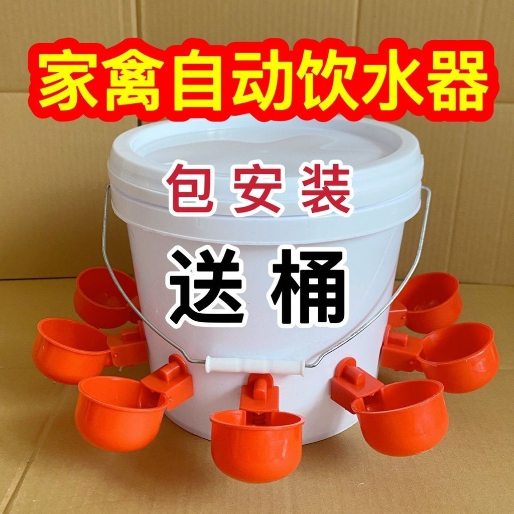 【台灣熱賣】家禽飲水器 全自動新款喂雞自動飲水器 雞鴨鴿子飲水碗養殖水桶