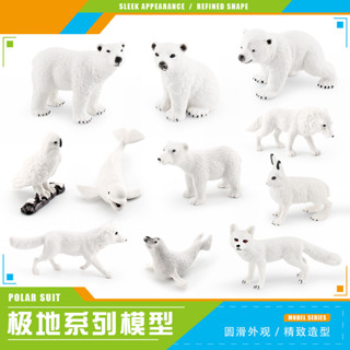 ★限時熱銷★模擬野生極地動物套裝模型北極兔白狐北極熊白鯨海豹白鴞擺件兒童禮物