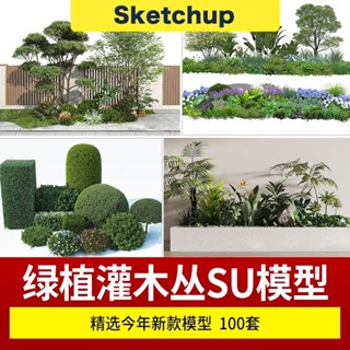 【SU模型 】 綠植灌木叢庭院綠籬植物景觀綠籬牆草圖大師素材庫 SketchUp 設計素材