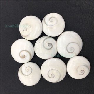 🔥靈犀福運堂 已祈福 天然水晶 🔥廠傢直供天然海螺貝殻 小號太陽貝硬貝殻 海螺貝吊墜傢居裝飾 TRSJ