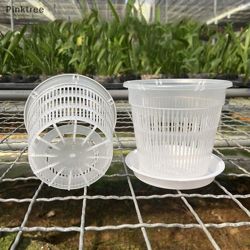 Ptr 11/14cm 網盆根控透明花盆蘭花透氣生長容器花園塑料花盆 TW