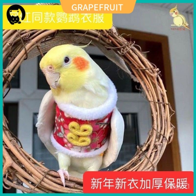 小鳥調整冬裝玄鳳牡丹過冬虎皮新年鸚鵡加厚保暖衣服飛行服專用