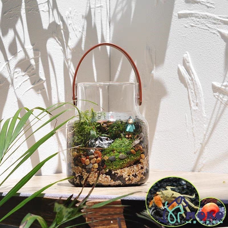 ❤️MOKO❤️生態瓶微景觀 客廳魚缸魚蝦蟹苔蘚植物水陸DIY創意花瓶 辦公室桌麵魚缸生態缸