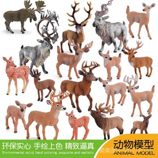 ❤樂樂屋❤兒童模擬野生動物梅花鹿白尾鹿小鹿模型靜態實心擺件玩具兒童創意禮物