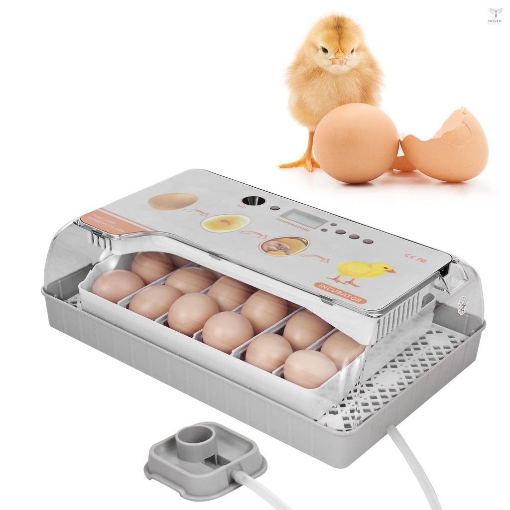 數字雞蛋孵化器 20 個雞蛋家禽孵化器,帶自動翻蛋溫度控制 LED 燈溫度濕度報警孵化器,適用於雞鴨鳥蛋