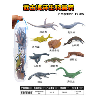 模擬遠古收納盒裝海洋恐龍薄片龍模型蛇頸龍玩具幻龍塑膠兒童禮物