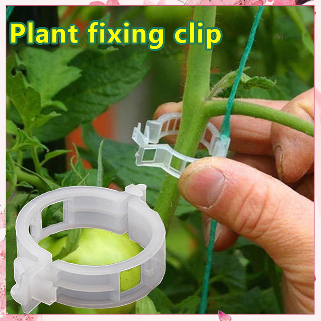  100/200/300 件植物支撐夾塑料白色綠色植物花園夾胡椒茄子固定器番茄夾固定夾易於使用的園藝工具
