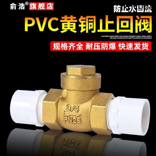 熱銷· PVC止回閥4/6分單向閥黃銅臥立式逆止20/25自來水管開關閥止水閥