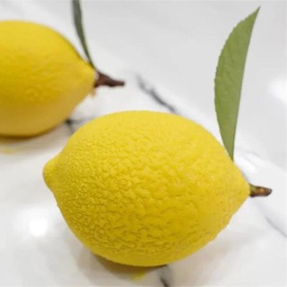 6腔3d檸檬形水果矽膠模具布朗尼蛋糕慕斯蛋糕模具