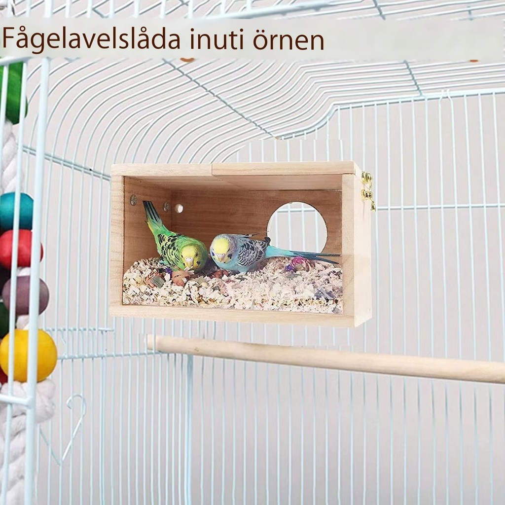 鳥類繁殖箱 Conure 築巢箱可見設計鸚鵡巢屋籠子透明鳥屋長尾小鸚鵡 chitw chitw