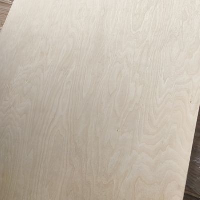 、進口樺木面皮多層板國產楊木板芯傢俱櫃體桌面板實木膠合板3-18mm