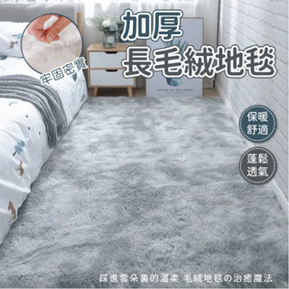 北歐ins風地毯 客廳房間臥室床邊毯 加厚毛地毯 絨毛地毯 絲毛床邊墊 長毛地毯 珊瑚絨地毯 絨毛大地毯 可客製化毛毯