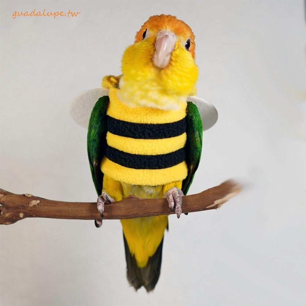 GUADALUPE鸚鵡冬季保暖帽子連帽,蜜蜂形狀溫暖鸚鵡蜜蜂形狀的衣服,可愛布柔軟的鸚鵡飛行服