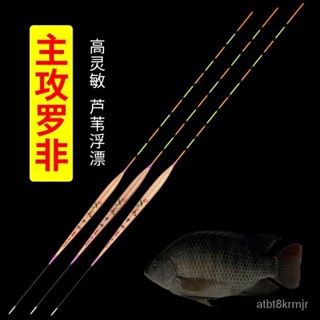 雷盾釣具 福壽魚專用浮標 釣福壽 俊昕蘆葦羅非魚漂鯽鯉細長身短腳長尾醒目加粗底釣高靈敏浮漂羅飛漂 浮標 福壽浮標
