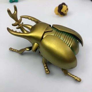 促銷發條甲蟲玩具模型兒童模擬爬行昆蟲男孩寶創意鏈條動物甲殼蟲玩具fdsfd