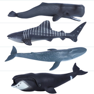 現貨#頭鯨藍鯨鯨鯊抹香鯨仿真海洋動物模型塑料兒童早敎玩具禮物4vv