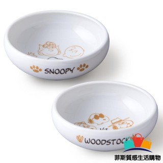 【日本熱賣】日本製 SNOOPY陶瓷餐盤 2入 史奴比 咖哩盤 陶瓷盤 小菜盤 盤子 餐具 餐桌 美濃燒