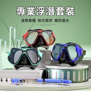 🤿浮潛面鏡 蛙鏡 潛水面罩 浮潛面鏡組 潛水鏡 浮潛呼吸管 浮潛裝備 乾式面鏡 面鏡 浮潛面罩 潛水面鏡 潛水蛙鏡