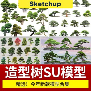 【SU模型】 中式庭院花園修剪造型樹草圖大師素材觀賞松樹盆景景觀植物 SketchUp 設計素材