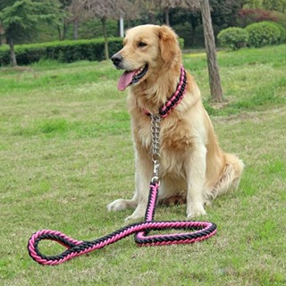 【現貨24小時發】中型大型犬狗鏈子狗狗牽引繩遛狗繩金毛拉布拉多P鏈狗繩寵物用品Medium and large dog