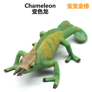 🌈模擬爬行動物模型玩具實心塑膠變色龍兒童玩具益智科教玩具