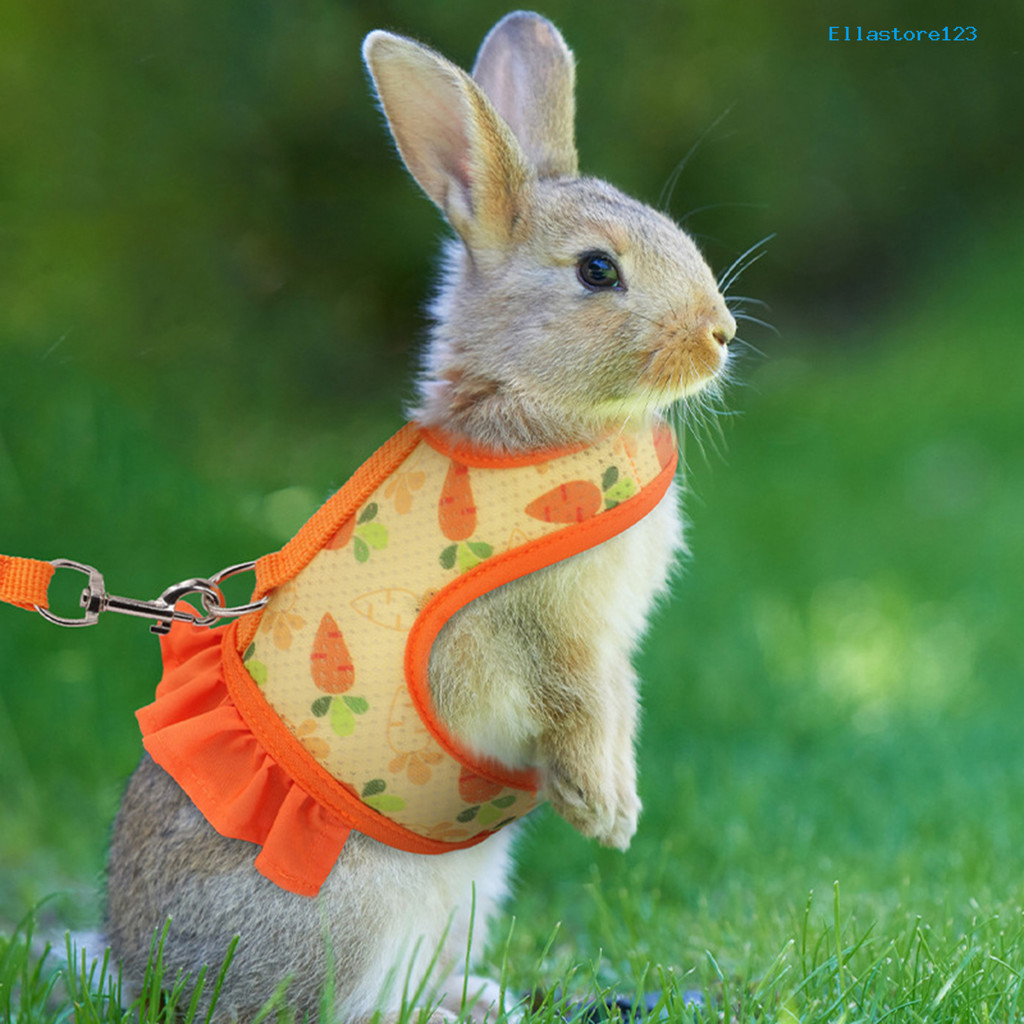 [家有愛寵]兔子胸背荷蘭豬溜兔繩小寵牽引繩胸揹帶兔子背心式胸背套裝（頻道）