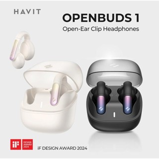 【大韜黑膠】[免運+送耳機袋+殼]HAVIT 海威特-OPENBUDS ONE 開放式記憶耳夾無線藍牙耳機 TW980