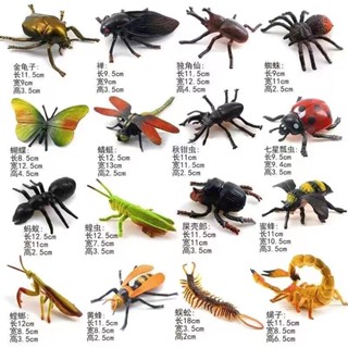 昆蟲玩具模擬動物套餐海底動物模型螞蟻蜘蛛蜜蜂兒童恐龍玩具20250324